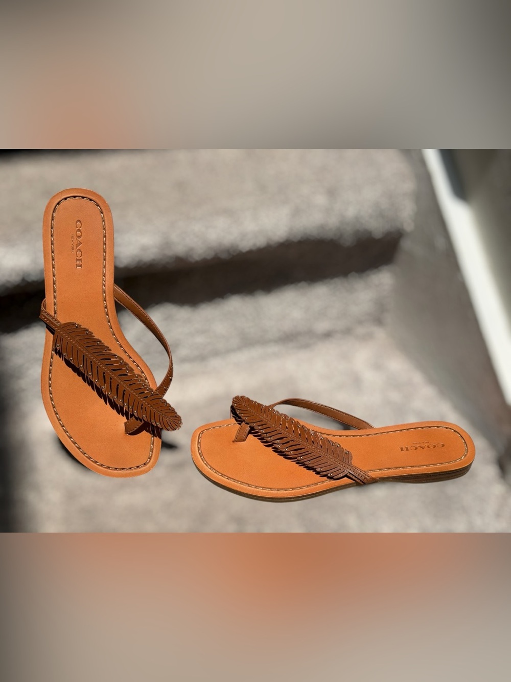 Coach Deni Leather Feather Thong Sandals Cognac Brown Boho Resort Flat Flip Flop